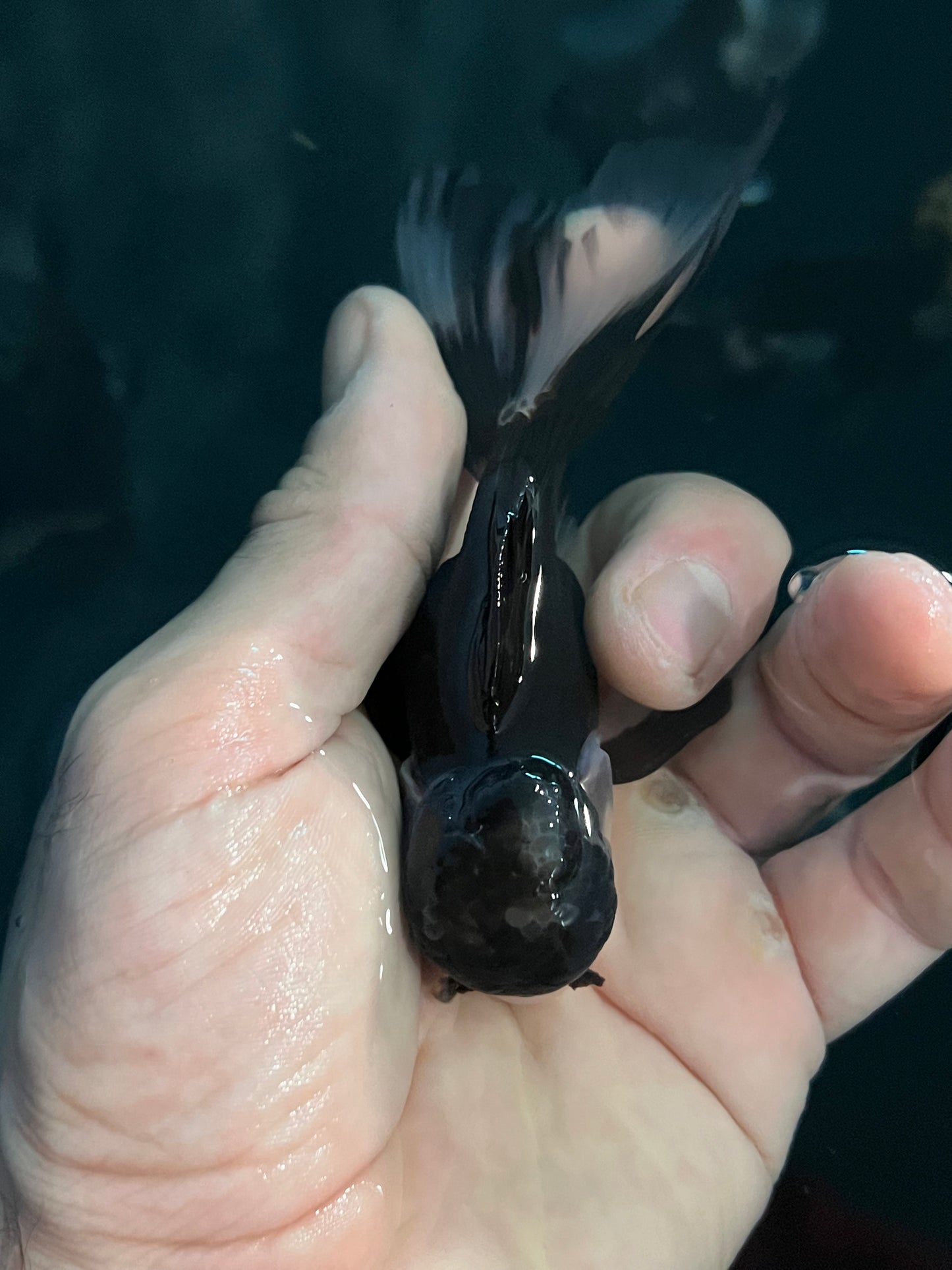 Mini Batman