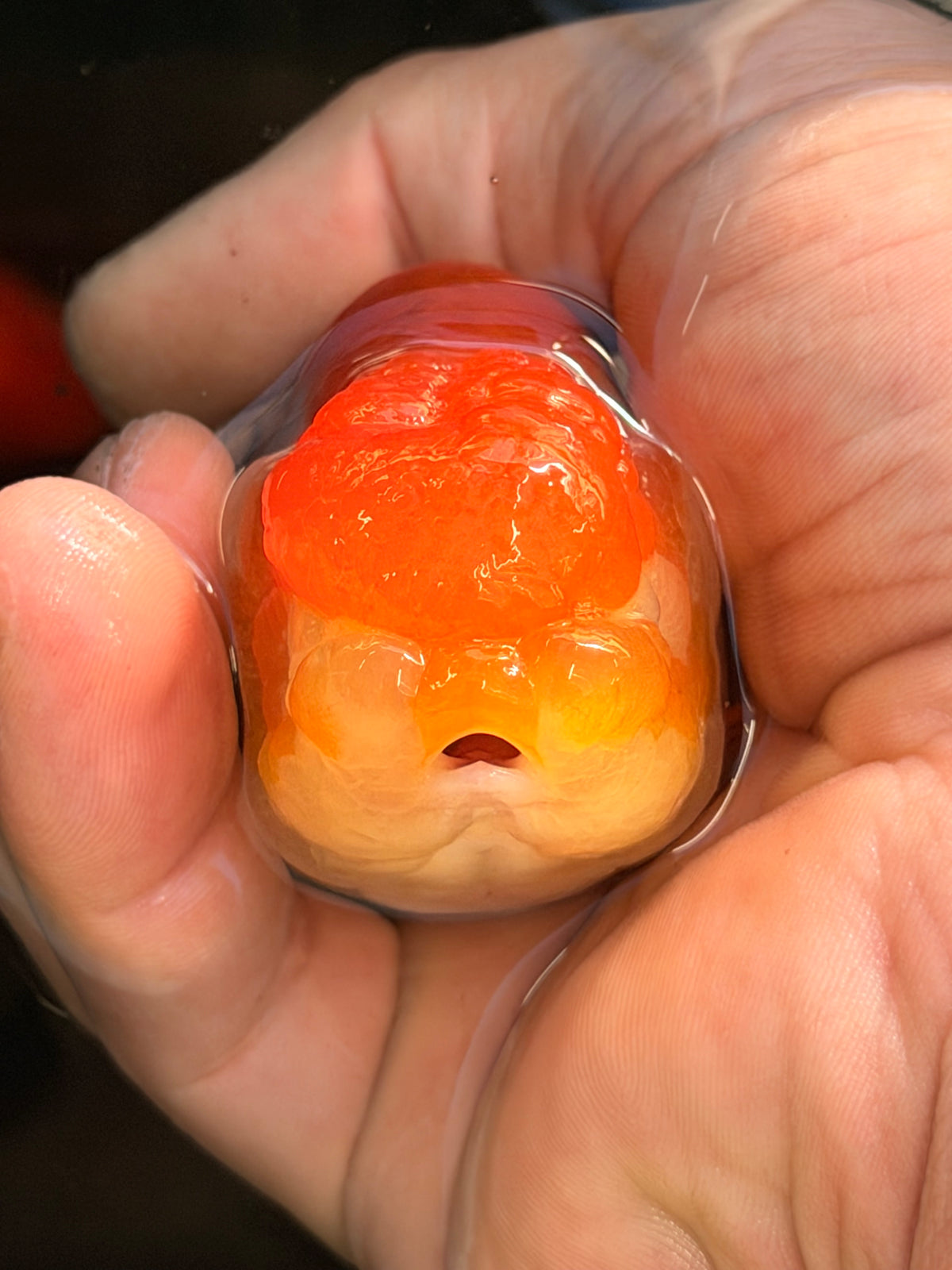 The Floating Gusher